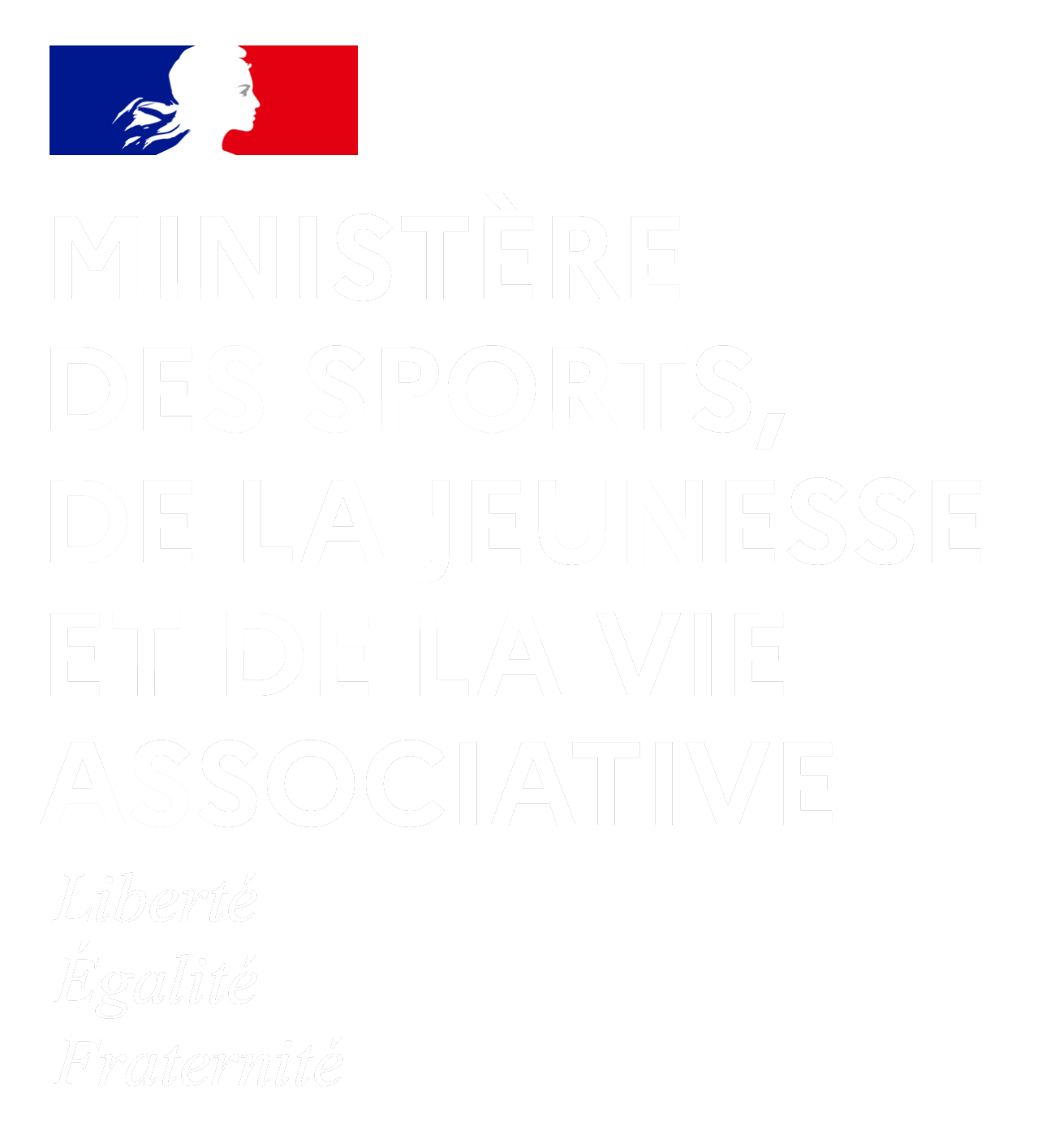 Ministère des Sports Logo